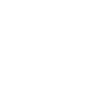 Preliminar